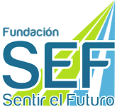 Fundación SEF